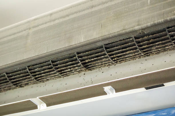 Best Air Vent Cleaning Services  in Kenmore, NY